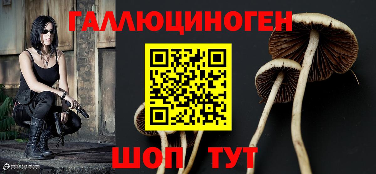 Псилоцибиновые грибы GOLDEN TEACHER Изобильный