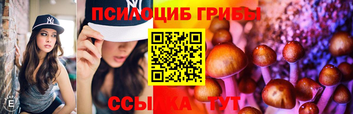 Изобильный  Галлюциногенные грибы Psilocybine cubensis  Вход с VPN 